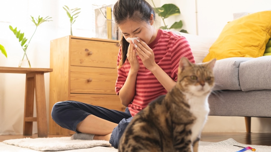 Holistic Homeopathy for Hayfever relief using natural remedies